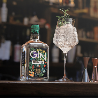 Gin Tonic with Meunier's Gin