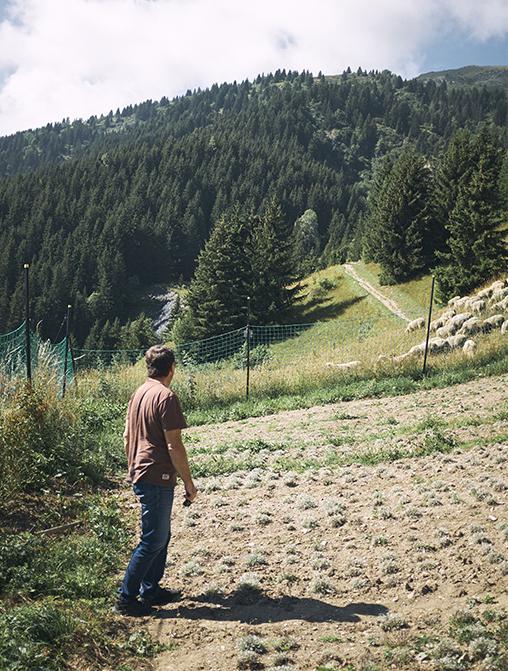 plantation meunier meribel savoie